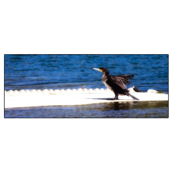 PHOTO84, CLUB, 84 , LUBERON